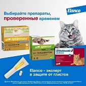 Капли на холку Профендер для кошек от 2,5 до 5 кг от гельминтов