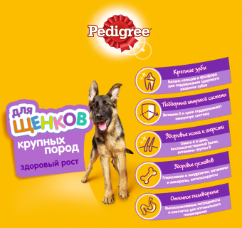 Корм Pedigree для щенков крупных пород с курицей