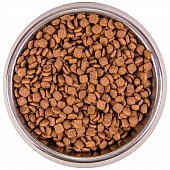 Сухой Корм Monge Cat BWild GRAIN FREE для стерилизованных кошек, беззерновой, из тунца Сухой Корм Monge Cat BWild GRAIN FREE для стерилизованных кошек, беззерновой, из тунца