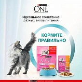 Влажный корм Purina ONE® для котят, с курицей и морковью, Пауч