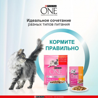 Влажный корм Purina ONE® для котят, с курицей и морковью, Пауч