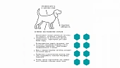 Сухой Корм AJO Dog Mini Adult с гречкой для взрослых собак малых пород Сухой Корм AJO Dog Mini Adult с гречкой для взрослых собак малых пород