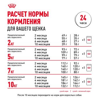 Корм для собак Royal Canin Корм Mini Puppy сухой для щенков мелких размеров до 8 месяцев