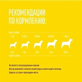 Деревенские Лакомства для собак всех пород куриные ломтики сушеные Деревенские Лакомства для собак всех пород куриные ломтики сушеные