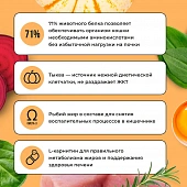 Корм Bowl Wow для кошек с пищеварением полнорационный с индейкой, курицей и тыквой