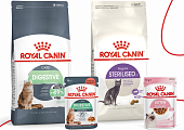 Скидка 500 рублей на наполнитель при покупке рационов Royal Canin от 2500 рублей!