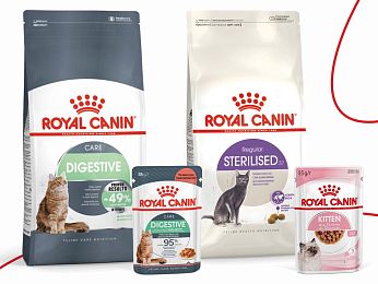 Скидка 500 рублей на наполнитель при покупке рационов Royal Canin от 2500 рублей!