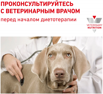 Корм Royal Canin Renal Small Dog для собак маленьких пород при хронической почечной недостаточности