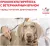 Корм Royal Canin Renal Small Dog для собак маленьких пород при хронической почечной недостаточности