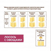 Паучи Sirius для взрослых кошек кусочки в соусе с лососем и овощами Паучи Sirius для взрослых кошек кусочки в соусе с лососем и овощами