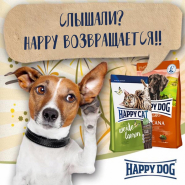 Слышали? Happy Dog возвращается!