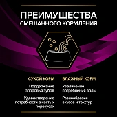 Влажный корм для кошек PRO PLAN® VETERINARY DIETS UR ST/OX Urinary при болезнях мочевыводящих путей, с лососем