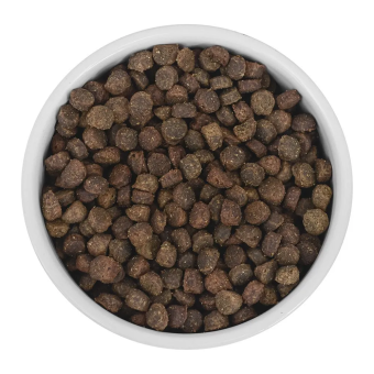 Корм Savita Holistic Puppy Wild Boar беззерновой для щенков с мясом дикого кабана