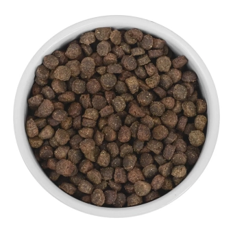 Корм Savita Holistic Puppy Wild Boar беззерновой для щенков с мясом дикого кабана