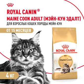 Корм для кошек Royal Canin Maine Coon Adult Корм сухой сбалансированный для взрослых кошек породы Мэйн Кун