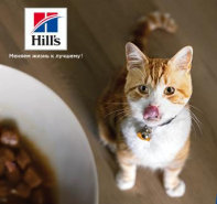 Скидки до 20% на корма Hill's Science Plan для кошек и собак!