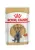 Паучи Royal Canin British Shorthair Adult для взрослых кошек породы Британская короткошерстная