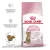 Royal Canin Kitten Sterilised корм сухой сбалансированный для стерилизованных котят до 12 месяцев Royal Canin Kitten Sterilised корм сухой сбалансированный для стерилизованных котят до 12 месяцев