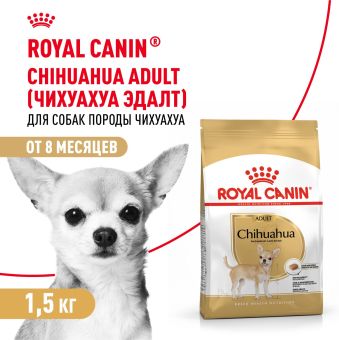 Корм для собак Royal Canin Chihuahua Adult сухой для взрослых собак породы Чихуахуа от 8 месяцев