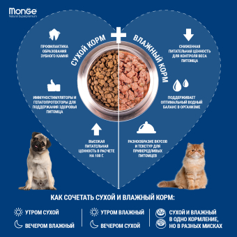 Корм Monge Cat Speciality Line Monoprotein Adult монопротеиновый для взрослых кошек из лосося