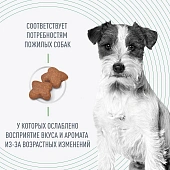 Сухой Корм Royal Canin Mini Adult 8+ для стареющих собак малых пород старше 8 лет Сухой Корм Royal Canin Mini Adult 8+ для стареющих собак малых пород старше 8 лет