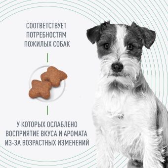 Корм Royal Canin Mini Adult 8+ для стареющих собак малых пород старше 8 лет
