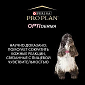 Сухой корм PRO PLAN для собак старше 7 лет средних и крупных пород с чувствительной кожей, с высоким содержанием лосося