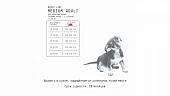 Сухой Корм AJO Dog Medium Adult с гречкой для взрослых собак средних пород Сухой Корм AJO Dog Medium Adult с гречкой для взрослых собак средних пород