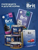 Сухой Корм Brit Premium Cat Adult Chicken для кошек с курицей