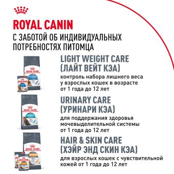 Корм для кошек Royal Canin Maine Coon Adult Корм сухой сбалансированный для взрослых кошек породы Мэйн Кун