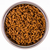 Сухой Корм Monge Cat Speciality Line Monoprotein Adult для взрослых кошек, из лосося Сухой Корм Monge Cat Speciality Line Monoprotein Adult для взрослых кошек, из лосося