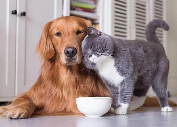 Скидки до 10% на супер-премиальные корма Best Dinner, Happy Cat, Happy Dog, Орико и Edel!