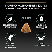 Сухой корм PRO PLAN для собак мелких пород с чувствительным пищеварением GRAIN FREE (беззерновой) с индейкой