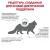 Корм Royal Canin Sensitivity Control SC27 для кошек при пищевой аллергии и непереносимости с уткой Корм Royal Canin Sensitivity Control SC27 для кошек при пищевой аллергии и непереносимости с уткой