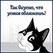 Паучи Felix Sensations для кошек с уткой в желе со шпинатом Паучи Felix Sensations для кошек с уткой в желе со шпинатом