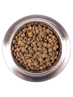 Корм Monge Dog Speciality Line Puppy&Junior для щенков и юниоров всех пород из ягненка с рисом