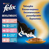 Паучи Felix для кошек Аппетитные кусочки: мультипак с рыбой