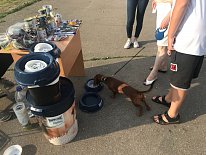 Дегустация в зоомагазине «Динозаврик» (Ул.Снежная, д.16к6)!