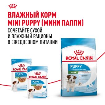 Корм для собак Royal Canin Корм Mini Puppy сухой для щенков мелких размеров до 8 месяцев