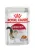 Royal Canin Instinctive корм консервированный для взрослых кошек, желе Royal Canin Instinctive корм консервированный для взрослых кошек, желе