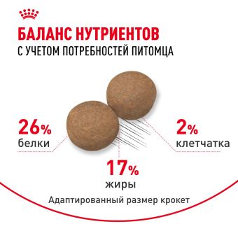 Корм сухой Royal Canin Maxi Adult для взрослых собак крупных размеров