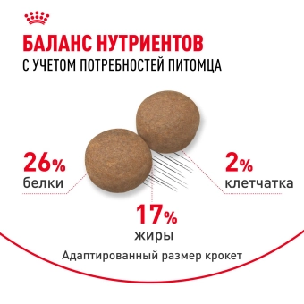 Корм сухой Royal Canin Maxi Adult для взрослых собак крупных размеров