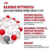 Паучи Royal Canin Mini Ageing 12+ для собак маленьких пород собак в возрасте сраше 12 лет