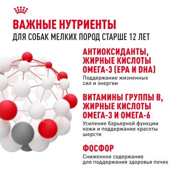 Паучи Royal Canin Mini Ageing 12+ для собак маленьких пород собак в возрасте сраше 12 лет