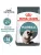 Royal Canin Hairball Care корм сухой для взрослых кошек для профилактики образования волосяных комочков