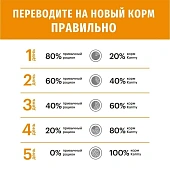 Сухой Корм Karmy Hair & Skin для кошек, поддерживающий здоровье кожи и шерсти с лососем Сухой Корм Karmy Hair & Skin для кошек, поддерживающий здоровье кожи и шерсти с лососем