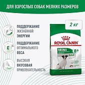 Сухой Корм Royal Canin Mini Adult 8+ для стареющих собак малых пород старше 8 лет