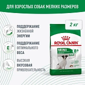 Сухой Корм Royal Canin Mini Adult 8+ для стареющих собак малых пород старше 8 лет Сухой Корм Royal Canin Mini Adult 8+ для стареющих собак малых пород старше 8 лет