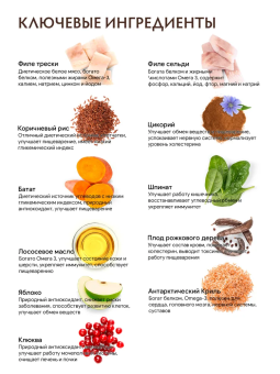 Корм Grandorf Adult Dog White Fish Mini для собак маленьких пород с белой рыбой, низкозерновой