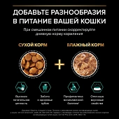 Влажный корм PRO PLAN® Sterilised MAINTENANCE для стерилизованных кошек и кастрированных котов, с индейкой в соусе Влажный корм PRO PLAN® Sterilised MAINTENANCE для стерилизованных кошек и кастрированных котов, с индейкой в соусе